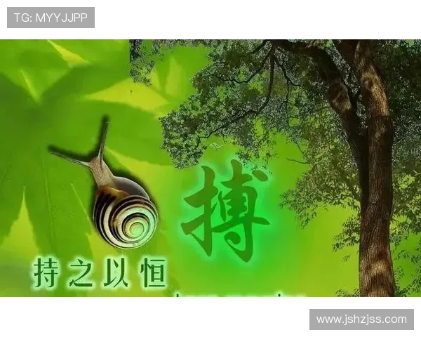 足球明星的励志语言激励我们追逐梦想与坚持不懈的精神之旅